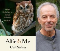 Literary Thursdays: Carl Safina, Author of “Alfie and Me: What Owls Know, What Humans Believe”